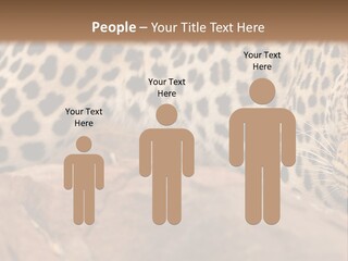 Cat Wildlife Safari PowerPoint Template