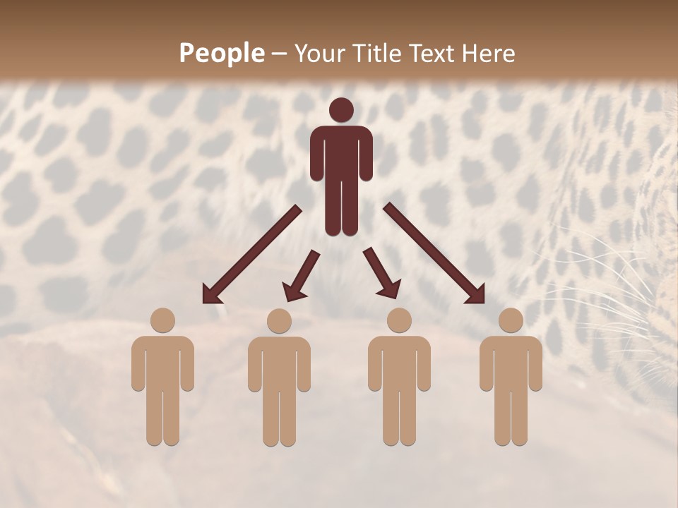 Cat Wildlife Safari PowerPoint Template