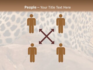 Cat Wildlife Safari PowerPoint Template