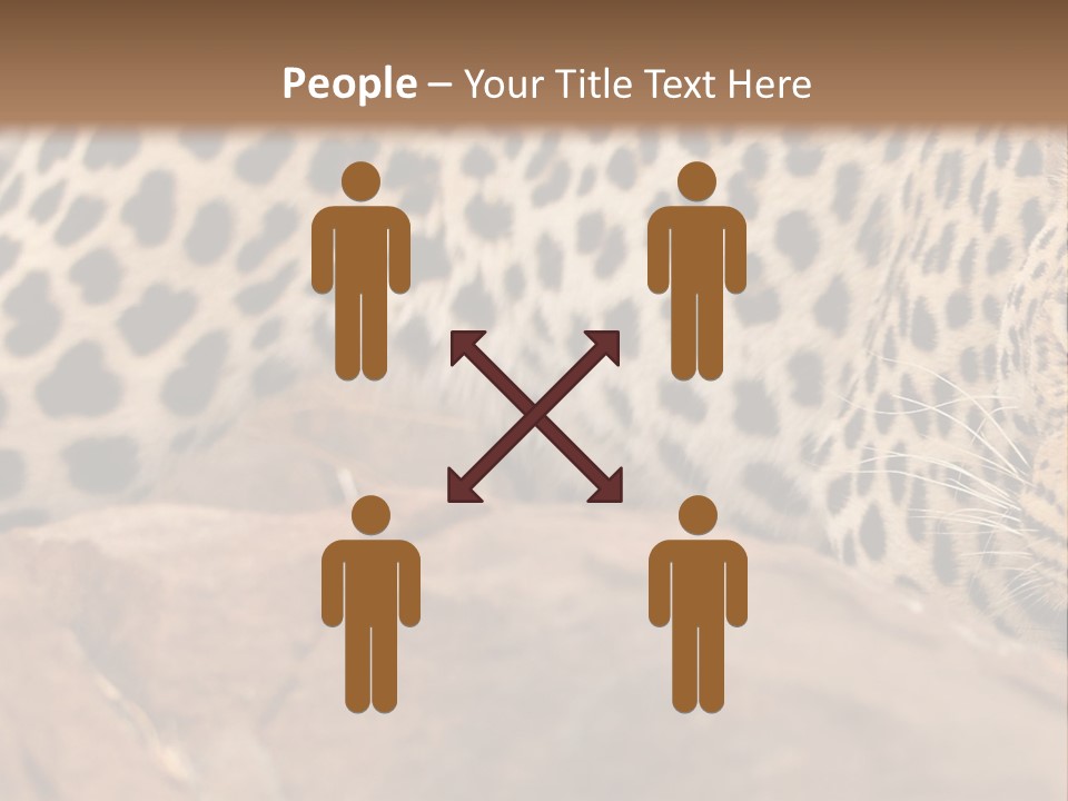 Cat Wildlife Safari PowerPoint Template