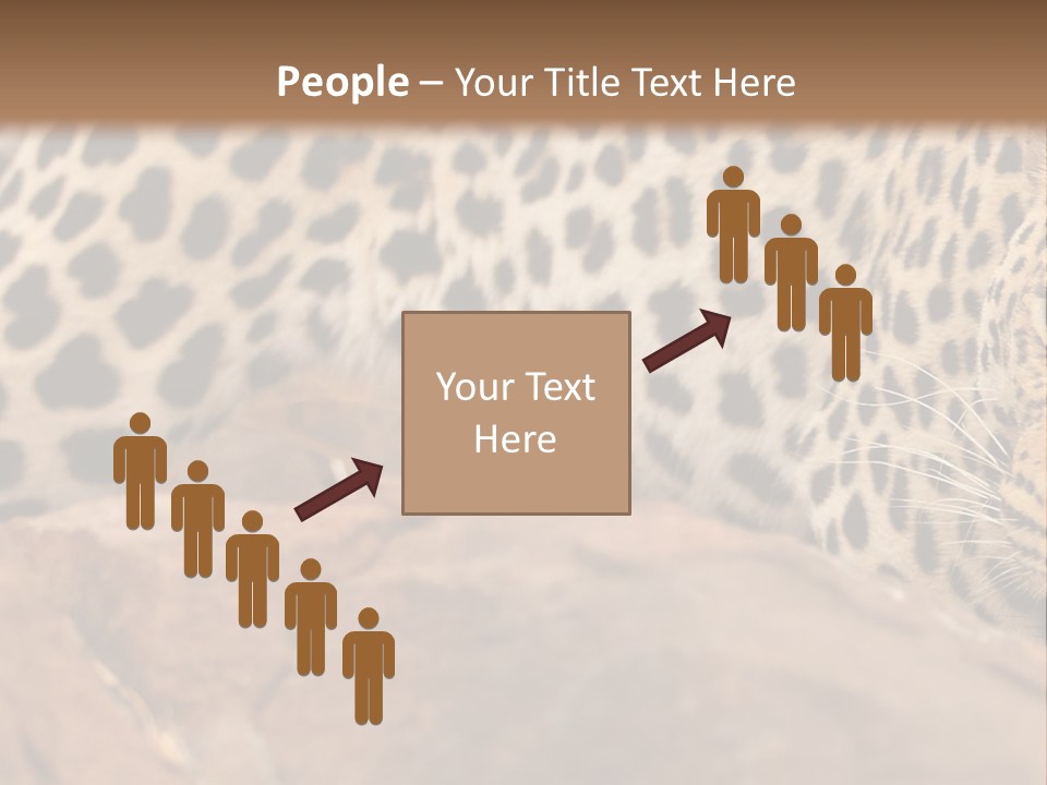 Cat Wildlife Safari PowerPoint Template