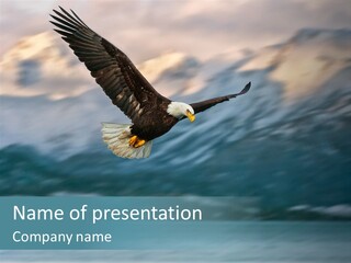 Homer Freedom Nature PowerPoint Template
