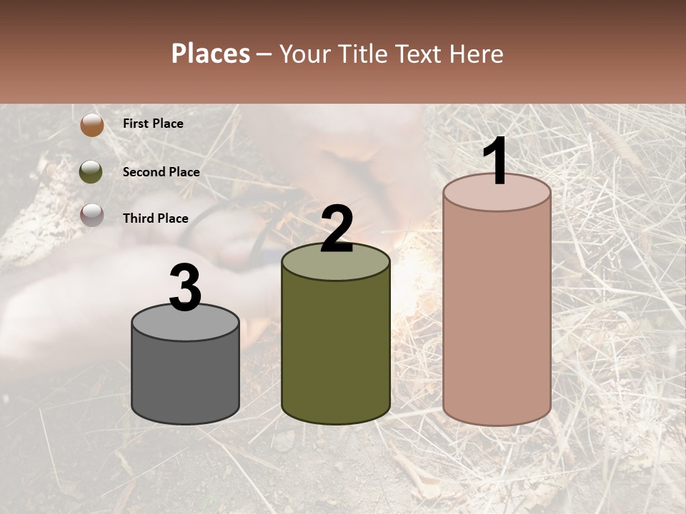 Wood Timber Leaves PowerPoint Template