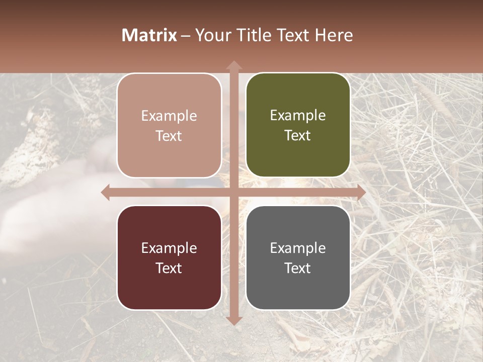 Wood Timber Leaves PowerPoint Template