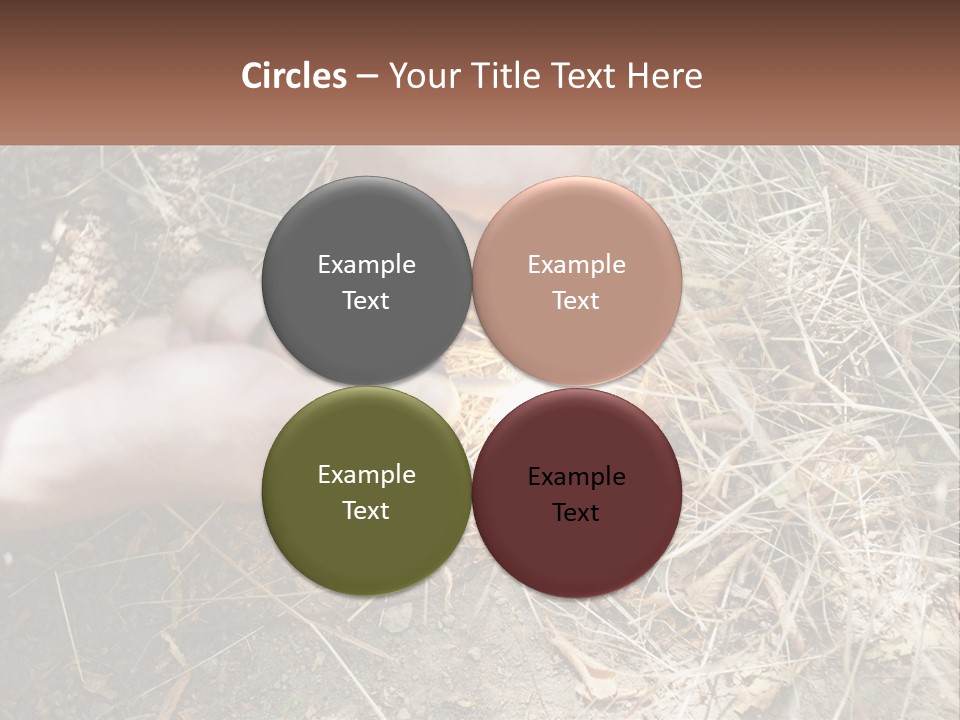 Wood Timber Leaves PowerPoint Template