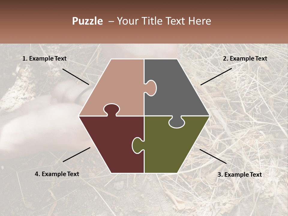 Wood Timber Leaves PowerPoint Template