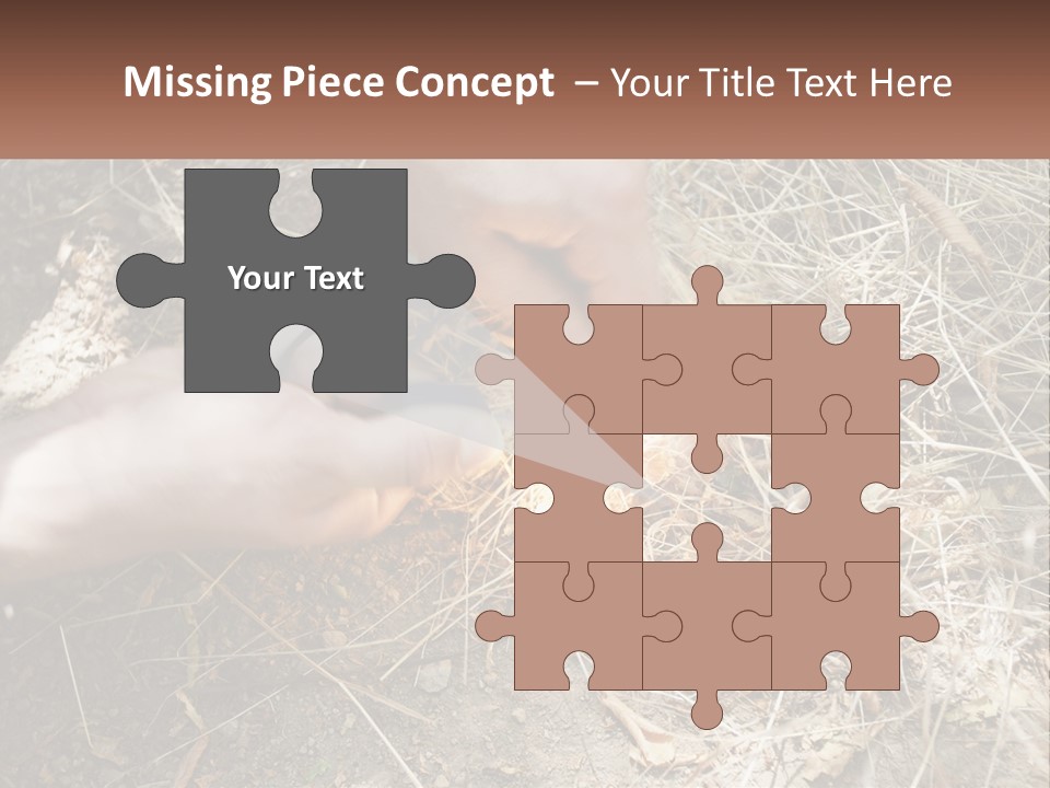 Wood Timber Leaves PowerPoint Template