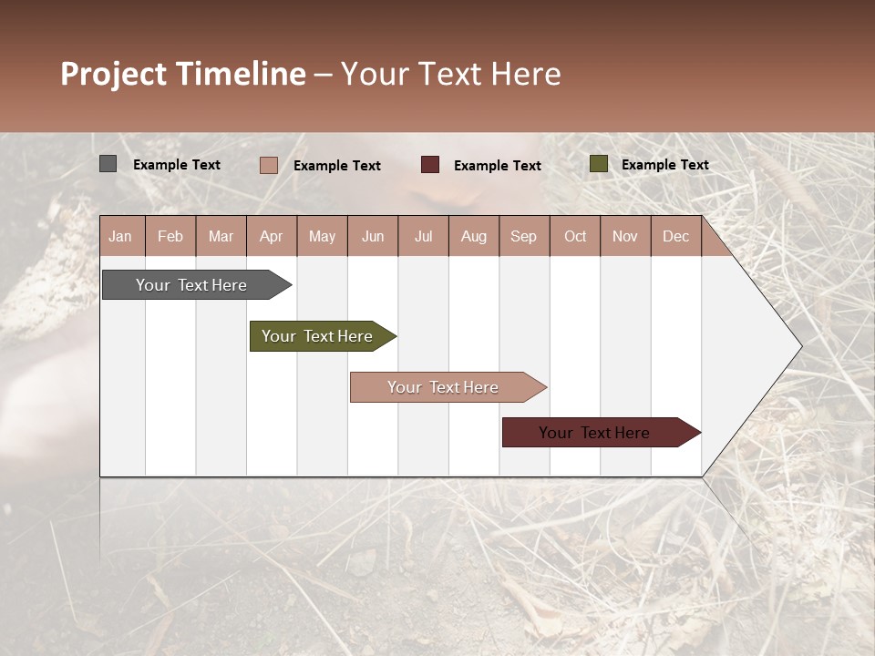 Wood Timber Leaves PowerPoint Template
