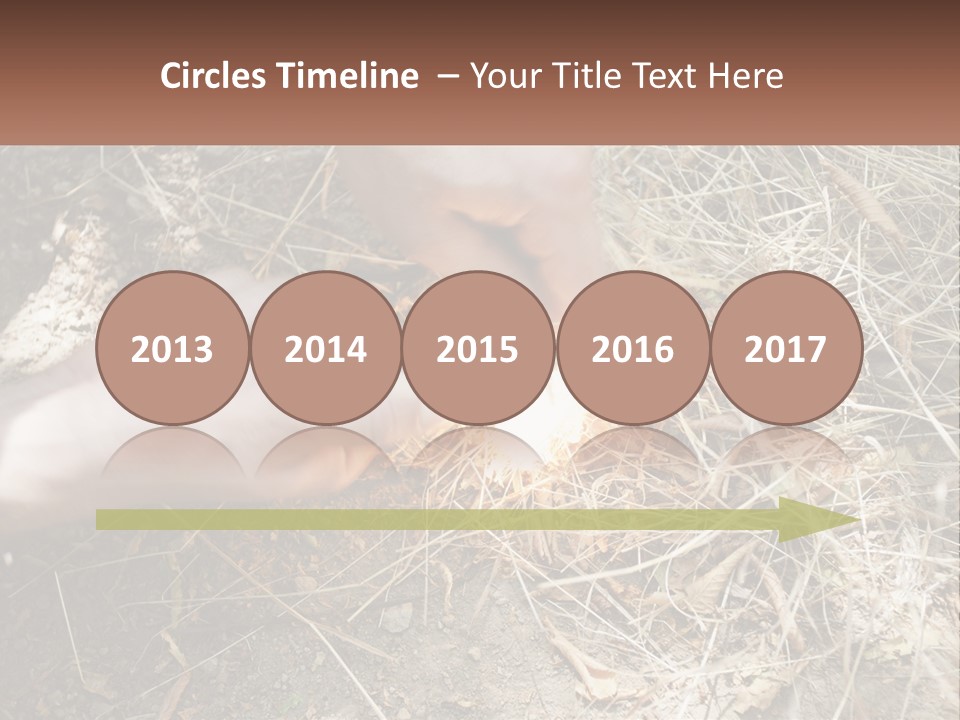 Wood Timber Leaves PowerPoint Template