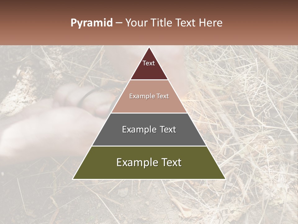 Wood Timber Leaves PowerPoint Template