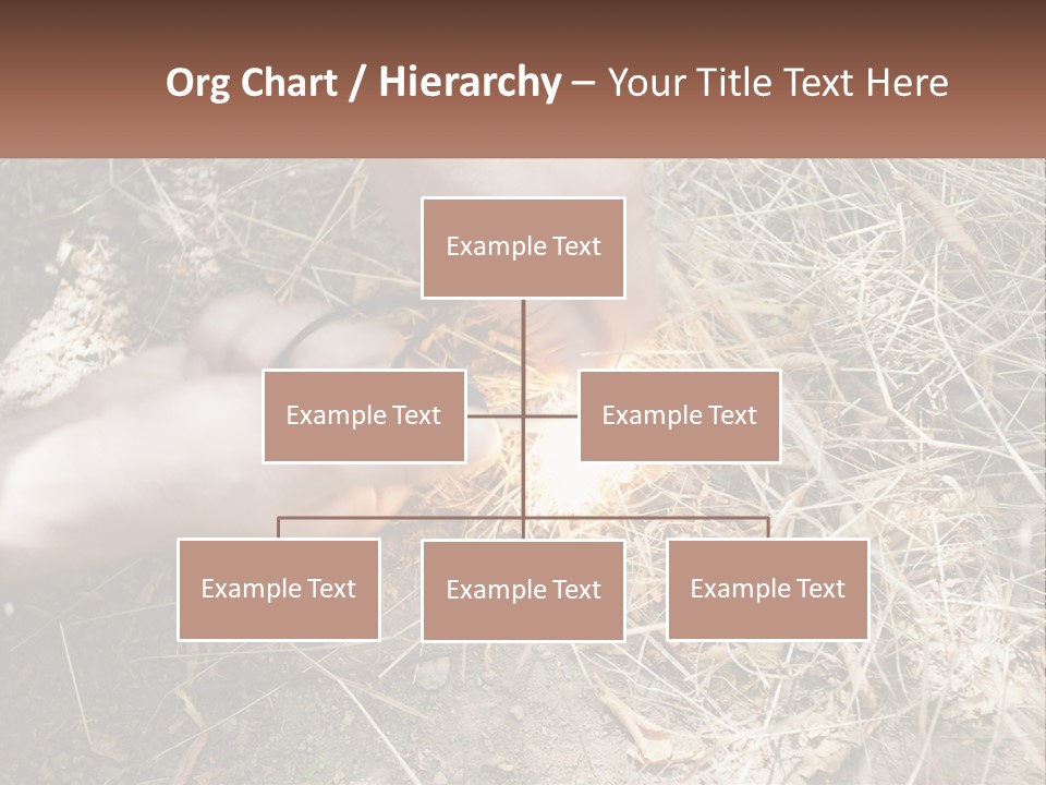 Wood Timber Leaves PowerPoint Template