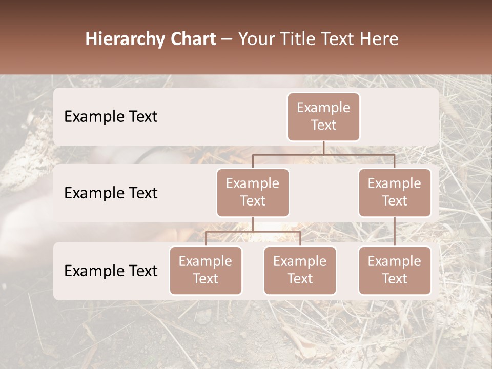 Wood Timber Leaves PowerPoint Template