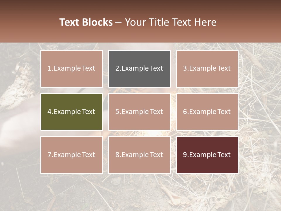 Wood Timber Leaves PowerPoint Template