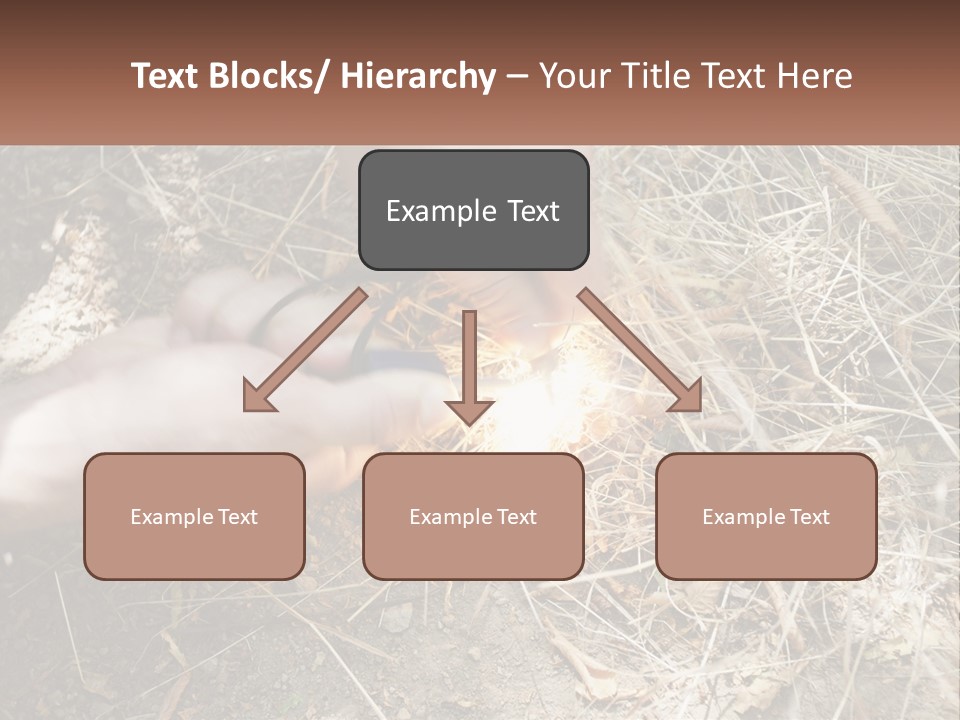 Wood Timber Leaves PowerPoint Template