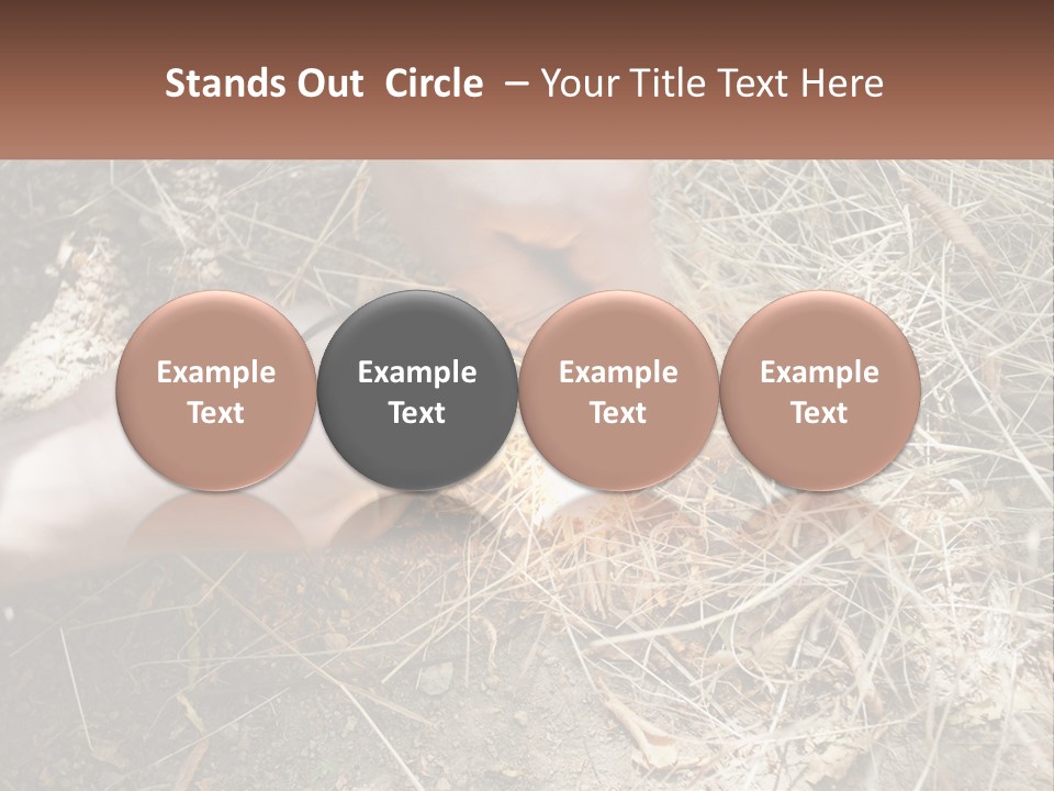 Wood Timber Leaves PowerPoint Template