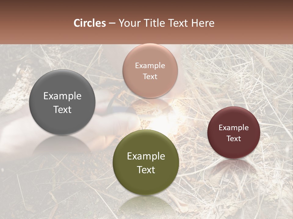 Wood Timber Leaves PowerPoint Template