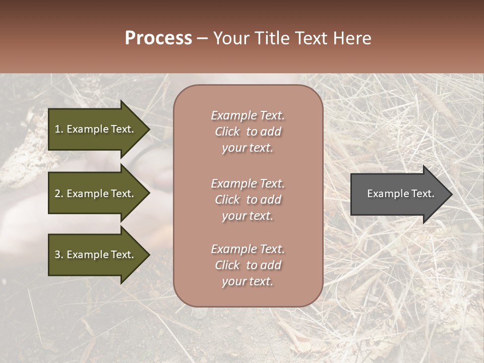Wood Timber Leaves PowerPoint Template