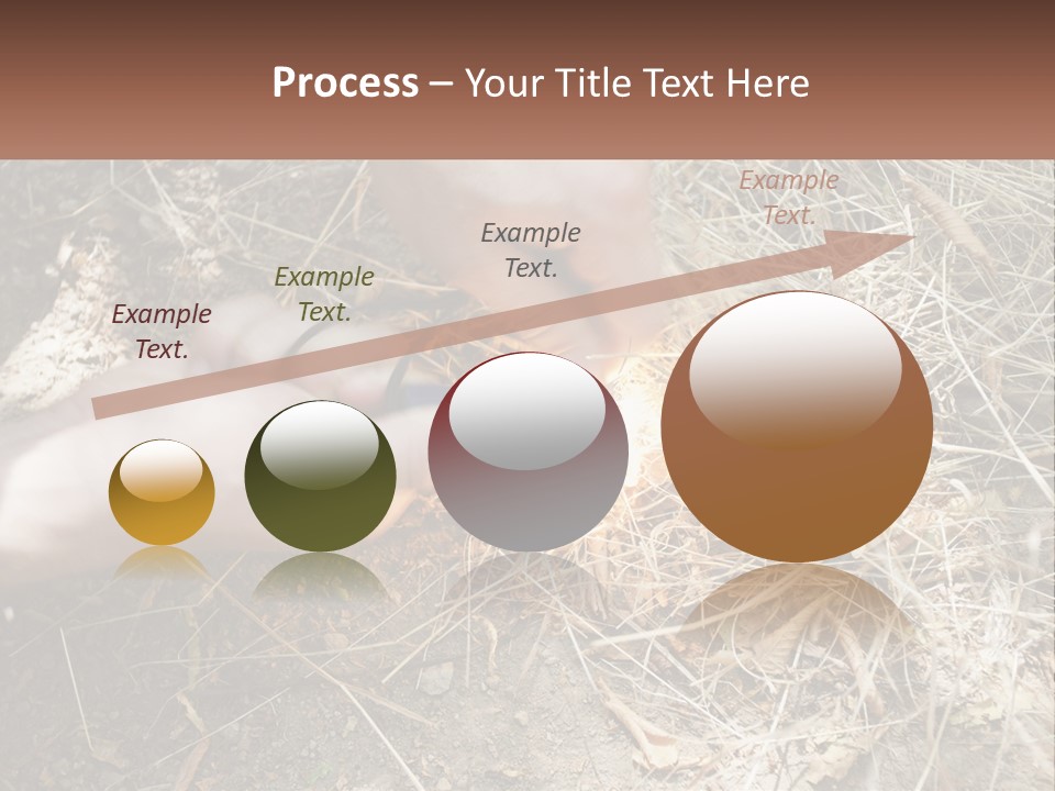 Wood Timber Leaves PowerPoint Template