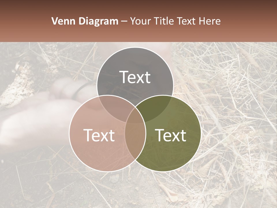 Wood Timber Leaves PowerPoint Template