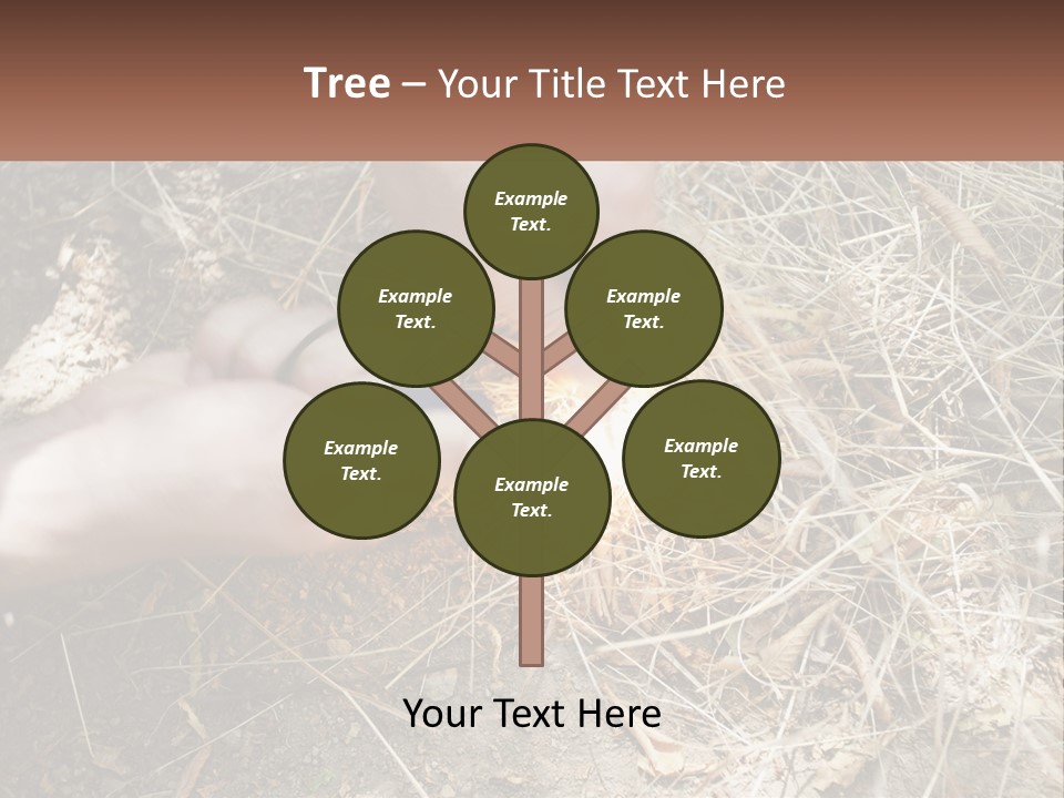 Wood Timber Leaves PowerPoint Template