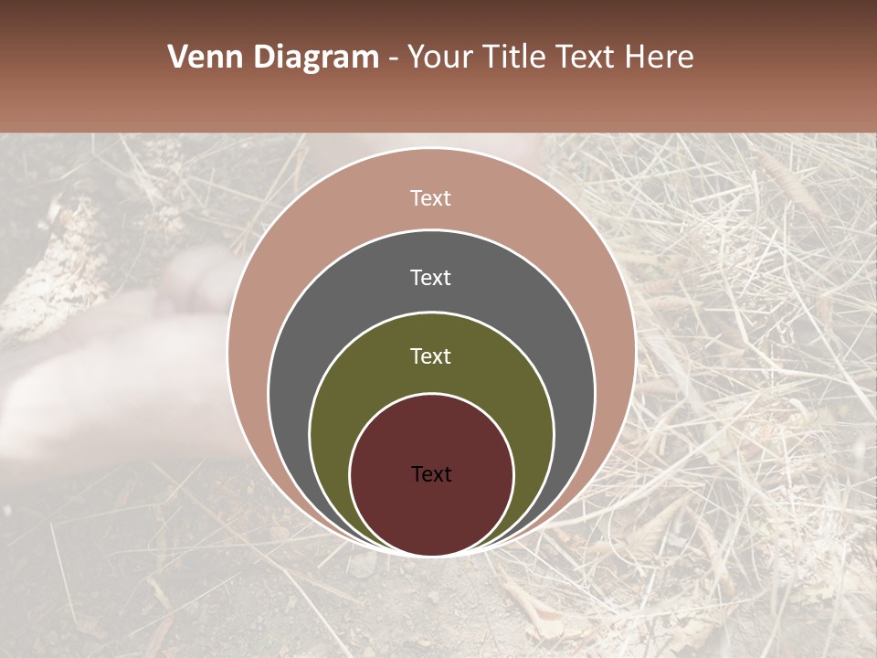 Wood Timber Leaves PowerPoint Template
