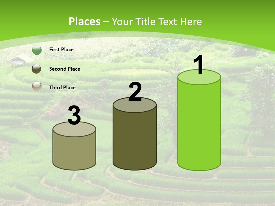 Garden Nature Color PowerPoint Template