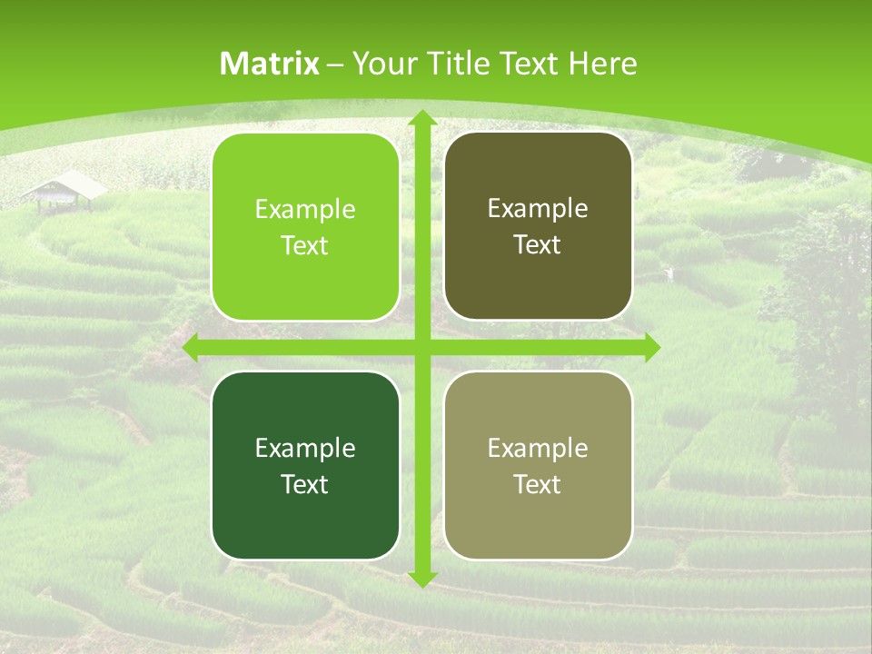 Garden Nature Color PowerPoint Template