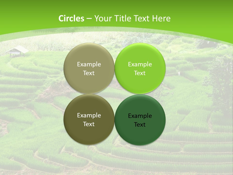 Garden Nature Color PowerPoint Template