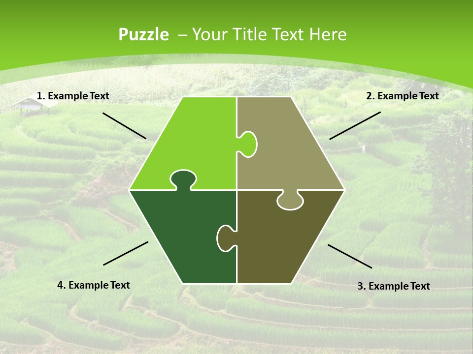 Garden Nature Color PowerPoint Template