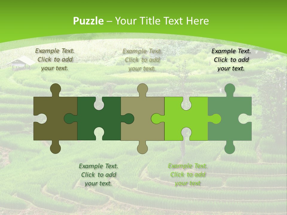 Garden Nature Color PowerPoint Template