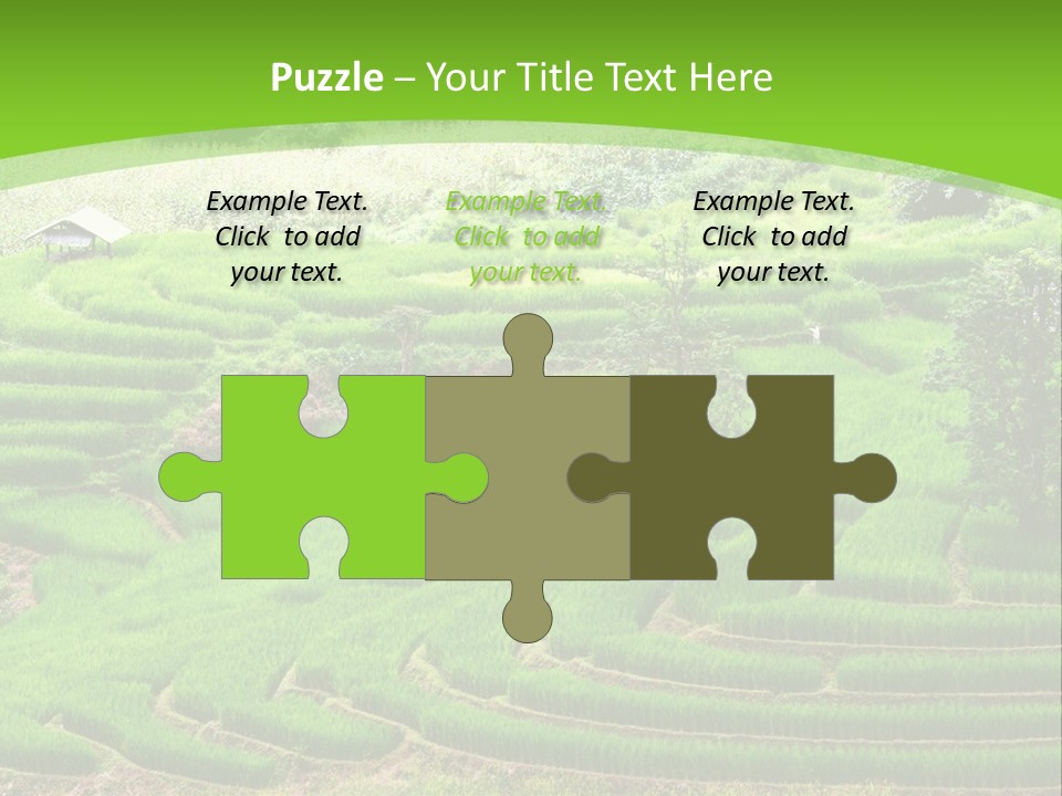 Garden Nature Color PowerPoint Template