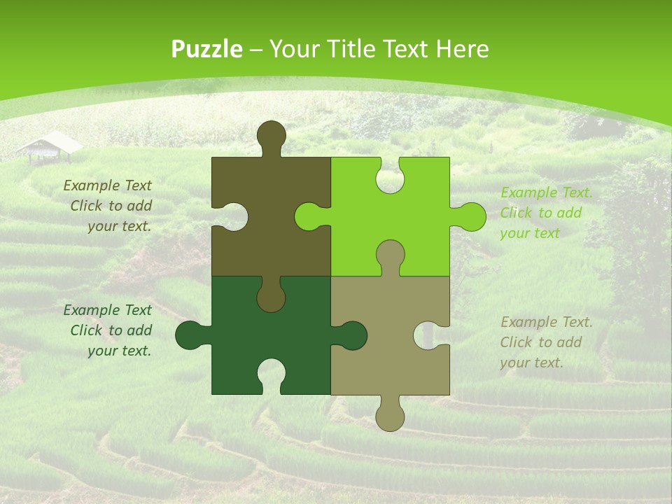 Garden Nature Color PowerPoint Template