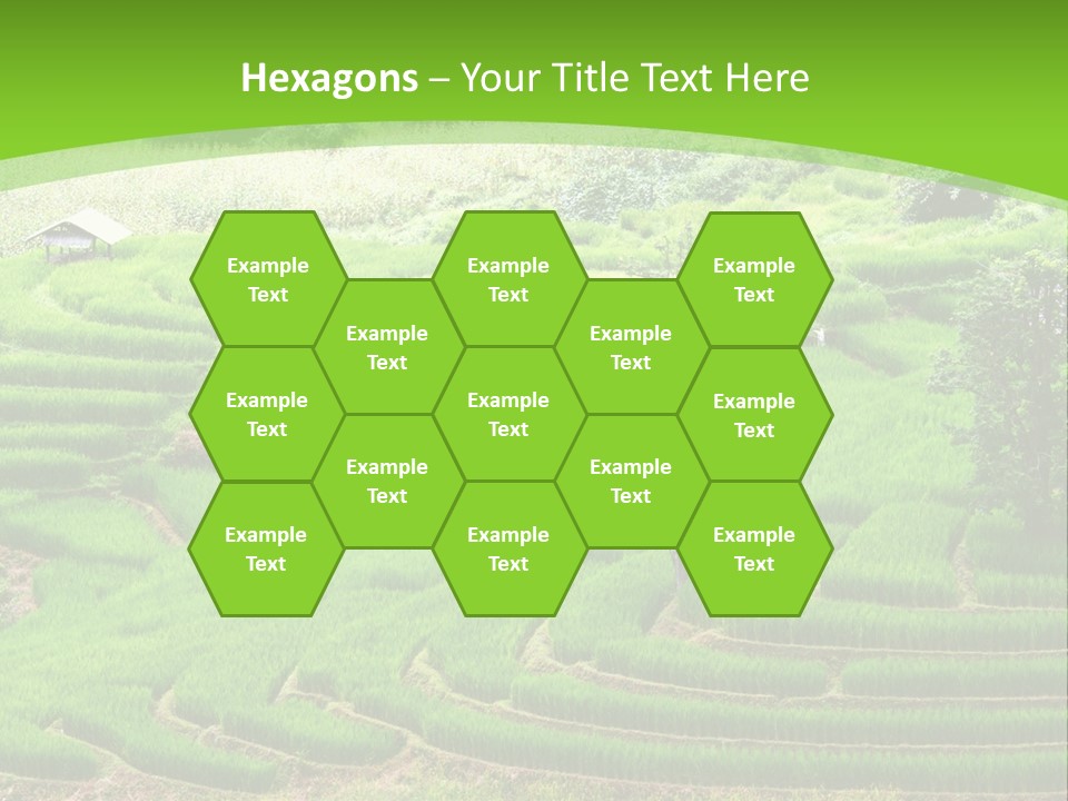 Garden Nature Color PowerPoint Template