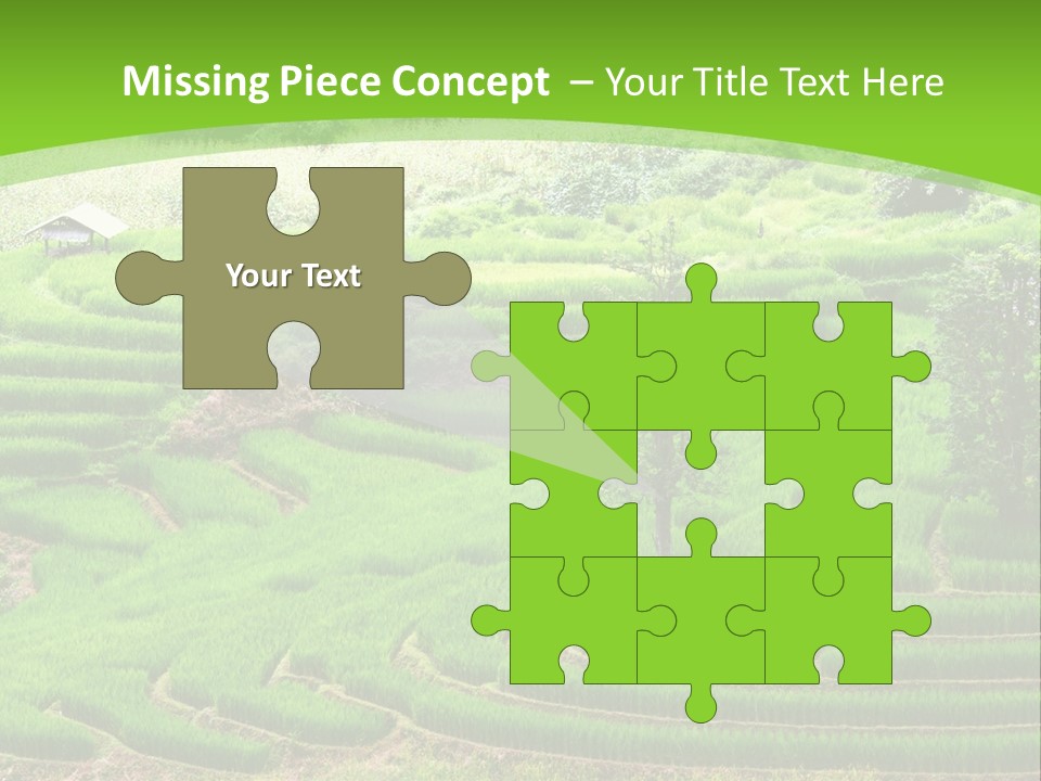 Garden Nature Color PowerPoint Template