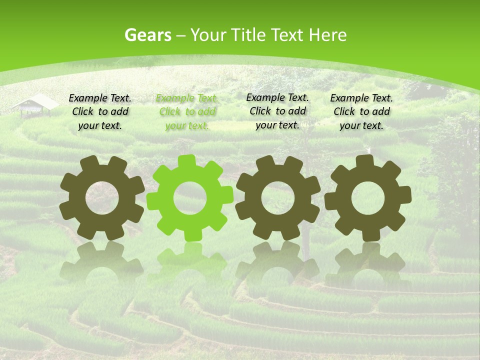 Garden Nature Color PowerPoint Template