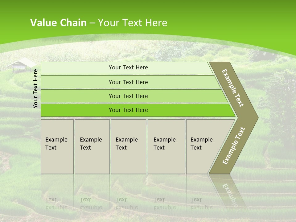 Garden Nature Color PowerPoint Template