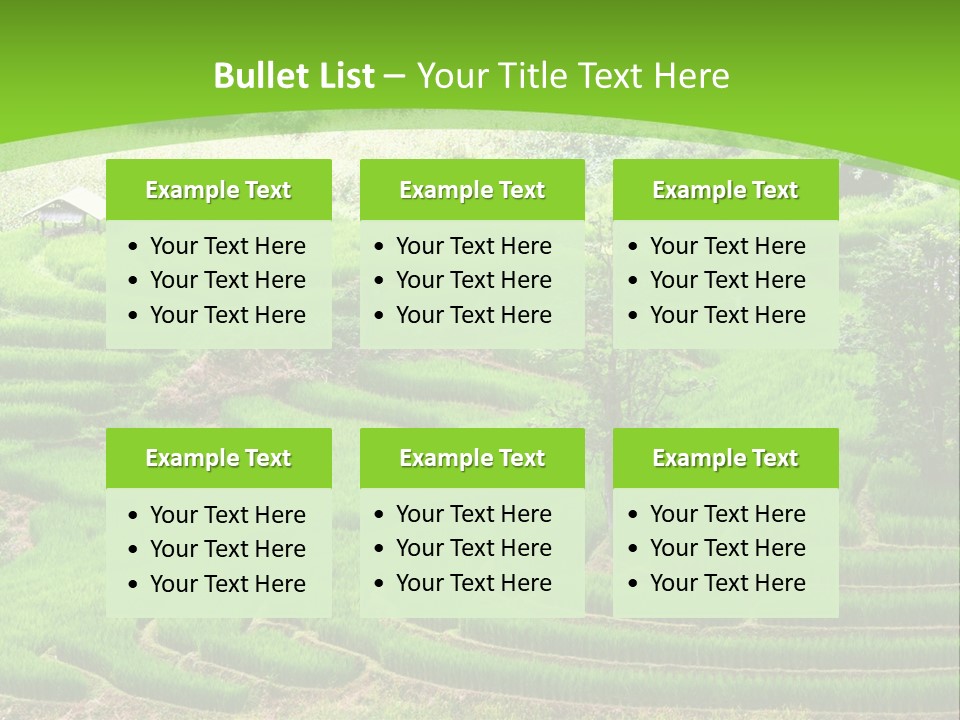 Garden Nature Color PowerPoint Template