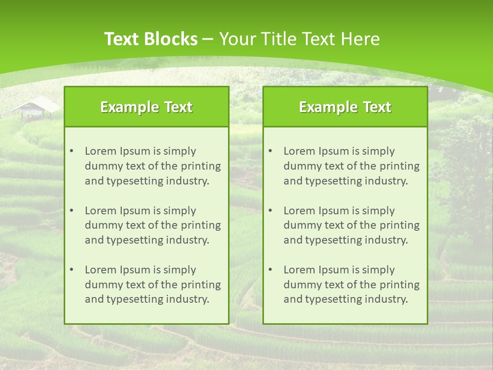 Garden Nature Color PowerPoint Template