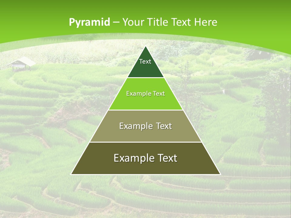 Garden Nature Color PowerPoint Template