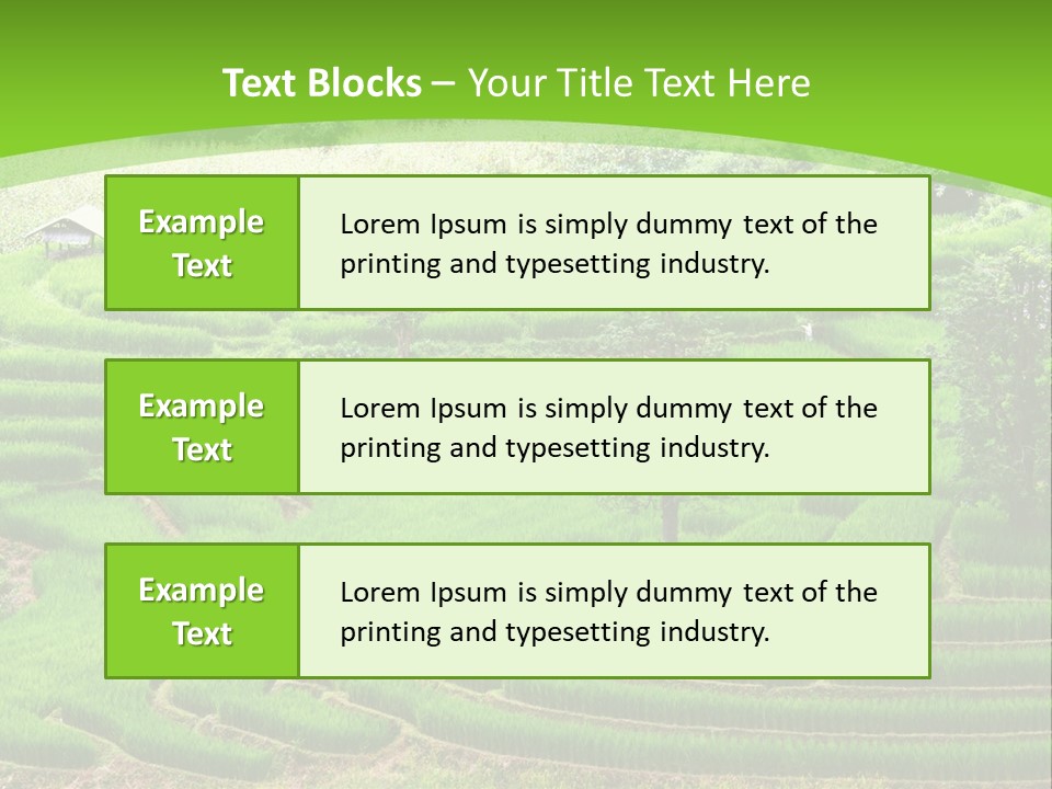 Garden Nature Color PowerPoint Template