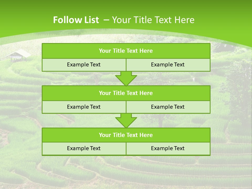 Garden Nature Color PowerPoint Template