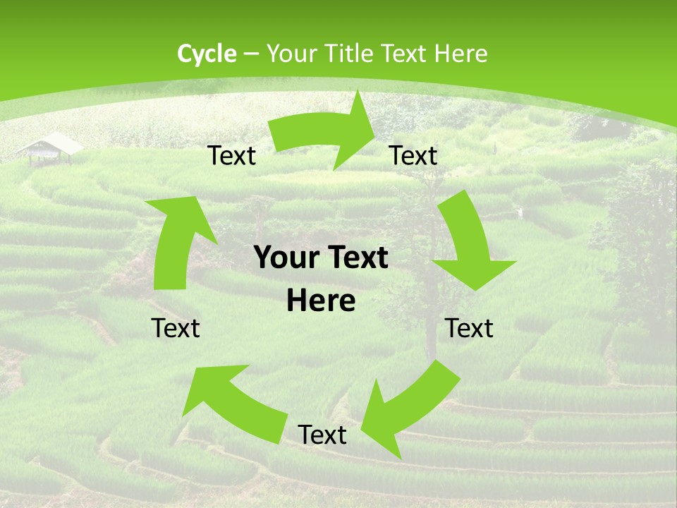 Garden Nature Color PowerPoint Template