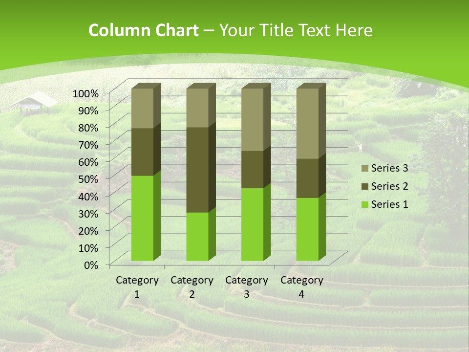 Garden Nature Color PowerPoint Template