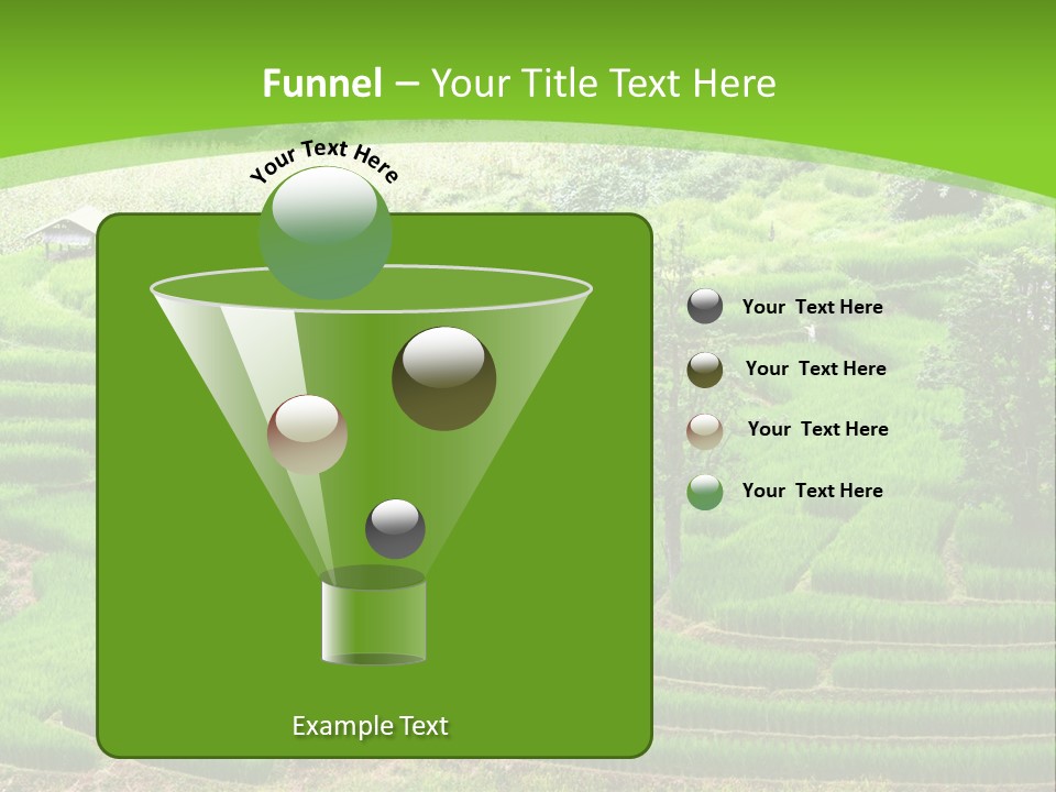 Garden Nature Color PowerPoint Template