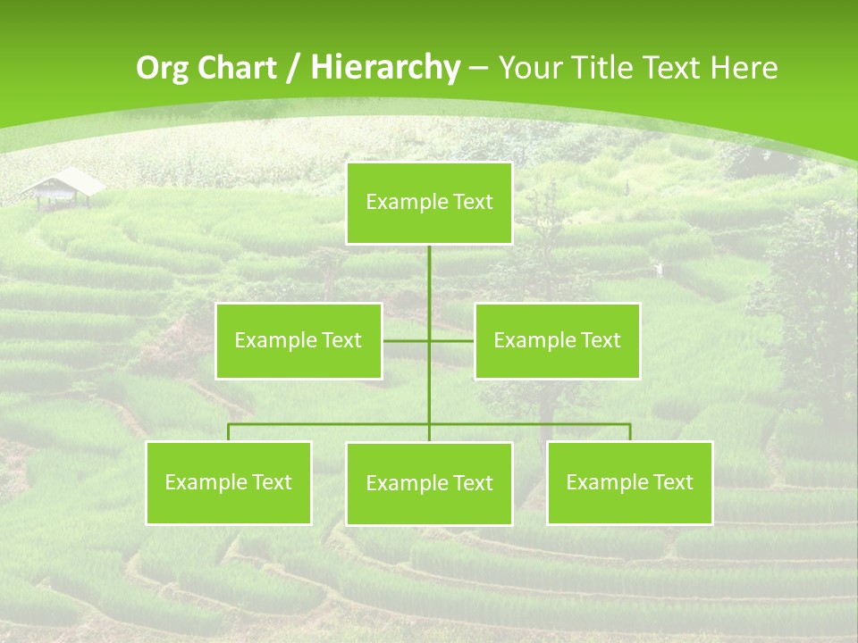 Garden Nature Color PowerPoint Template