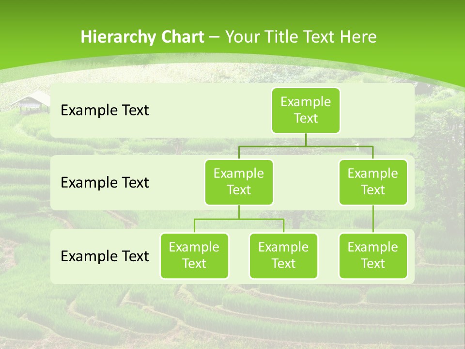 Garden Nature Color PowerPoint Template