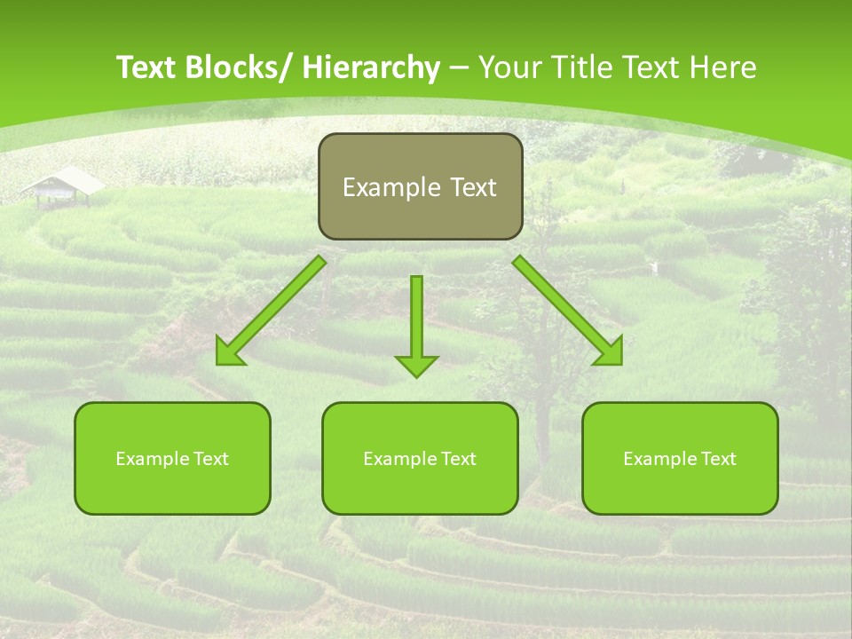 Garden Nature Color PowerPoint Template