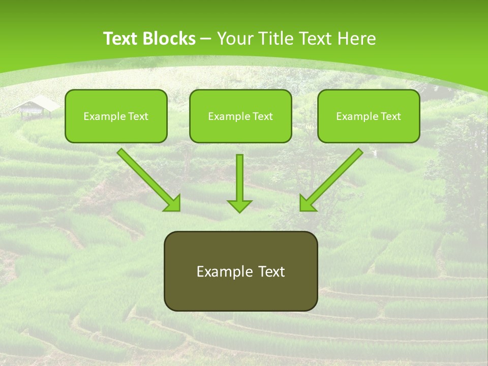 Garden Nature Color PowerPoint Template