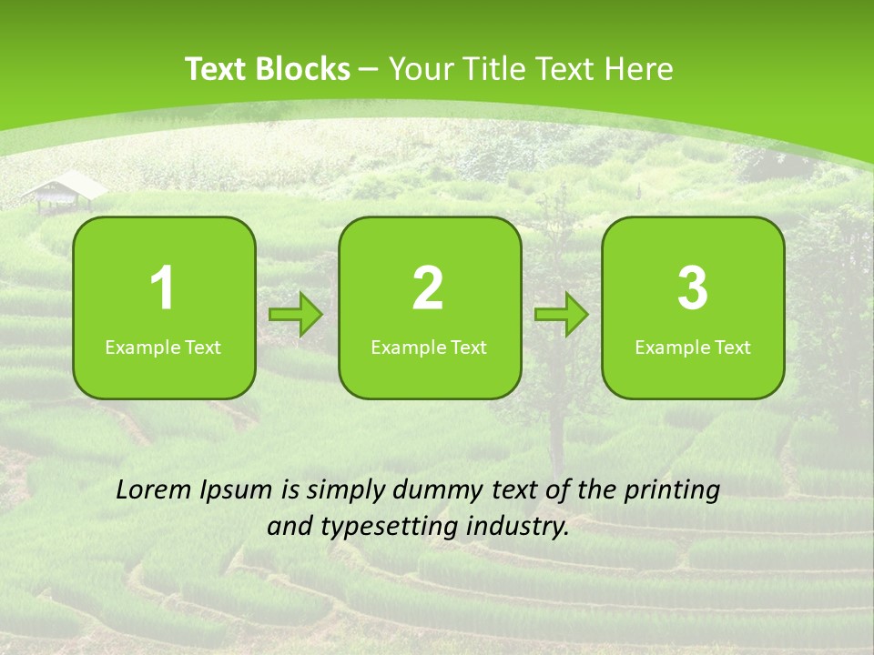 Garden Nature Color PowerPoint Template