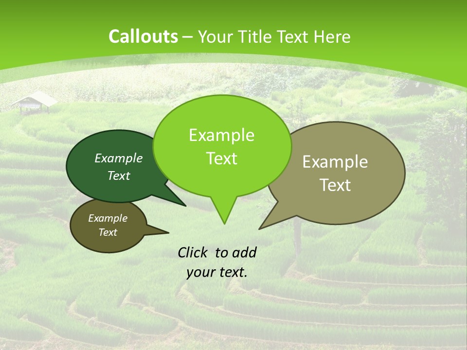 Garden Nature Color PowerPoint Template